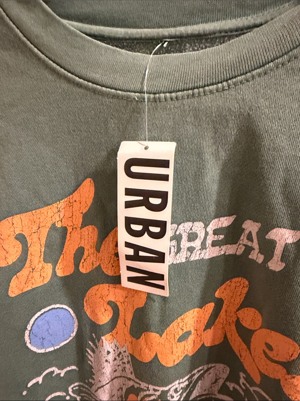 Urban Outfitters Green Graphic Crewneck Sweatshirt with Yellow & Blue Print - Picture 4 of 5